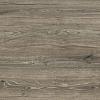 TwentyGres 30x120x2 Eiche (EIKEN) Timber