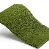 Royal Grass Aura  4m breed
