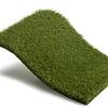 Royal Grass Bliss 4m breed