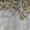 GeoCeramica 80x40x4 Timber Grigio
