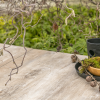 GeoCeramica 80x40x4 Timber Noce