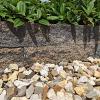 Splitrock XL 15x15x60 cm grigio camello
