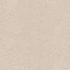 Schellevis Oudhollands Tegel 240x120x12 Creme