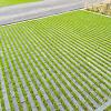 Hydro Lineo 30x10x8 nok 22 antraciet