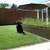 Plantenbak Vlak Supra Bruin 180x150x40 cm