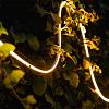 Serra 7m - strip | warmwit | 4 watt per meter | dimbaar | OutdoorPro+ | 12 volt
