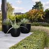 Argento New Egg Pot 36 - Black - Plantruimte Ø30
