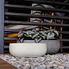 Grigio Longtail 45 - Antique White - Plantruimte 39x17