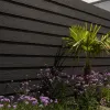 Cementvezel Plank Houtlook 300x20x0,8 cm Antraciet