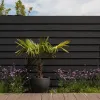 Cementvezel Plank Houtlook 300x20x0,8 cm Antraciet