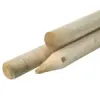 Ronde paal geïmpregneerd Ø6x180cm Gepunt + Gekruind