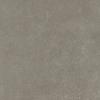 Ceradin Cortona 60x60x2cm Musk