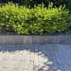 Wallblock New 15x15x60 Taupe