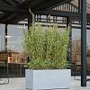 Argento Box 120 - Natural Grey - Plantruimte 111x41