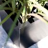 Argento Cube 40 - Black - Plantruimte 33x33