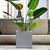 Argento Cube 60 - Natural Grey - Plantruimte 50x50
