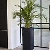 Argento High Cube 80 - Black - Plantruimte 24x24