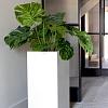 Argento High Cube 80 - Matt White - Plantruimte 24x24