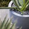 Argento New Egg Pot 45 - Natural Grey - Plantruimte Ø37