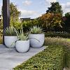Argento New Egg Pot 45 - Natural Grey - Plantruimte Ø37