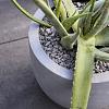 Argento New Egg Pot 65 - Natural Grey - Plantruimte Ø55