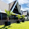 Grigio Cube 80 - Anthracite - Plantruimte 66x66