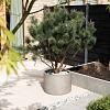 Grigio Cylinder 60 - Natural Concrete - Plantruimte Ø50
