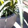 Grigio Egg Pot 40 - Natural Concrete - Plantruimte Ø35