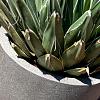 Grigio Egg Pot 50 - Natural Concrete - Plantruimte Ø44