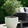 Grigio Egg Pot 60 - Antique White - Plantruimte Ø53
