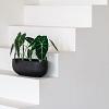 Grigio Longtail 65 - Anthracite - Plantruimte 58x25,5