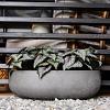 Grigio Longtail 65 - Natural Concrete - Plantruimte 58x25,5