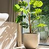 Grigio Metallic New Egg Pot 36 - Champagne - Plantruimte Ø30