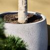 Grigio Modern Pot 44 - Natural Concrete - Plantruimte Ø35