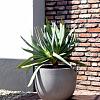 Grigio New Egg Pot 55 - Natural Concrete - Plantruimte Ø47