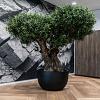 Grigio New Egg Pot Low 80 - Anthracite - Plantruimte Ø72