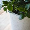 Grigio Vase 68 - Antique White - Plantruimte Ø30