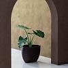 Ruvido Organic 80 - Ash Brown - Plantruimte Ø57