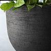 Terreno New Egg Pot 65 - Earth - Plantruimte Ø55