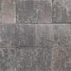 Paepesteen Doyenne 20x30x6 cm