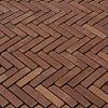 DF60 Rosas Classica ROOD GENUANCEERD