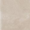 Dijon 60x60x2 Coquille DJ01