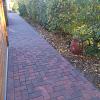 BSS Roosjespeer Komo 6cm