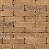 Tonique Rustiek waalformaat Kweepeer 20x5x7 cm