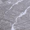 GeoCeramica® 60x60x4 V.D. Alpi VAL MALENCO