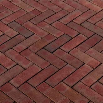 WF80 Murrinus ROOD-PAARS GENUANCEERD