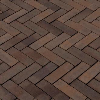 DF80 Lividus PAARS-BRUIN GENUANCEERD