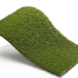 Royal Grass Aura  2m breed