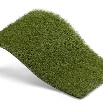Royal Grass Bloom  2m breed