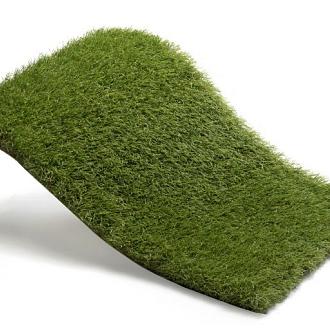 Royal Grass Blossom  2m breed